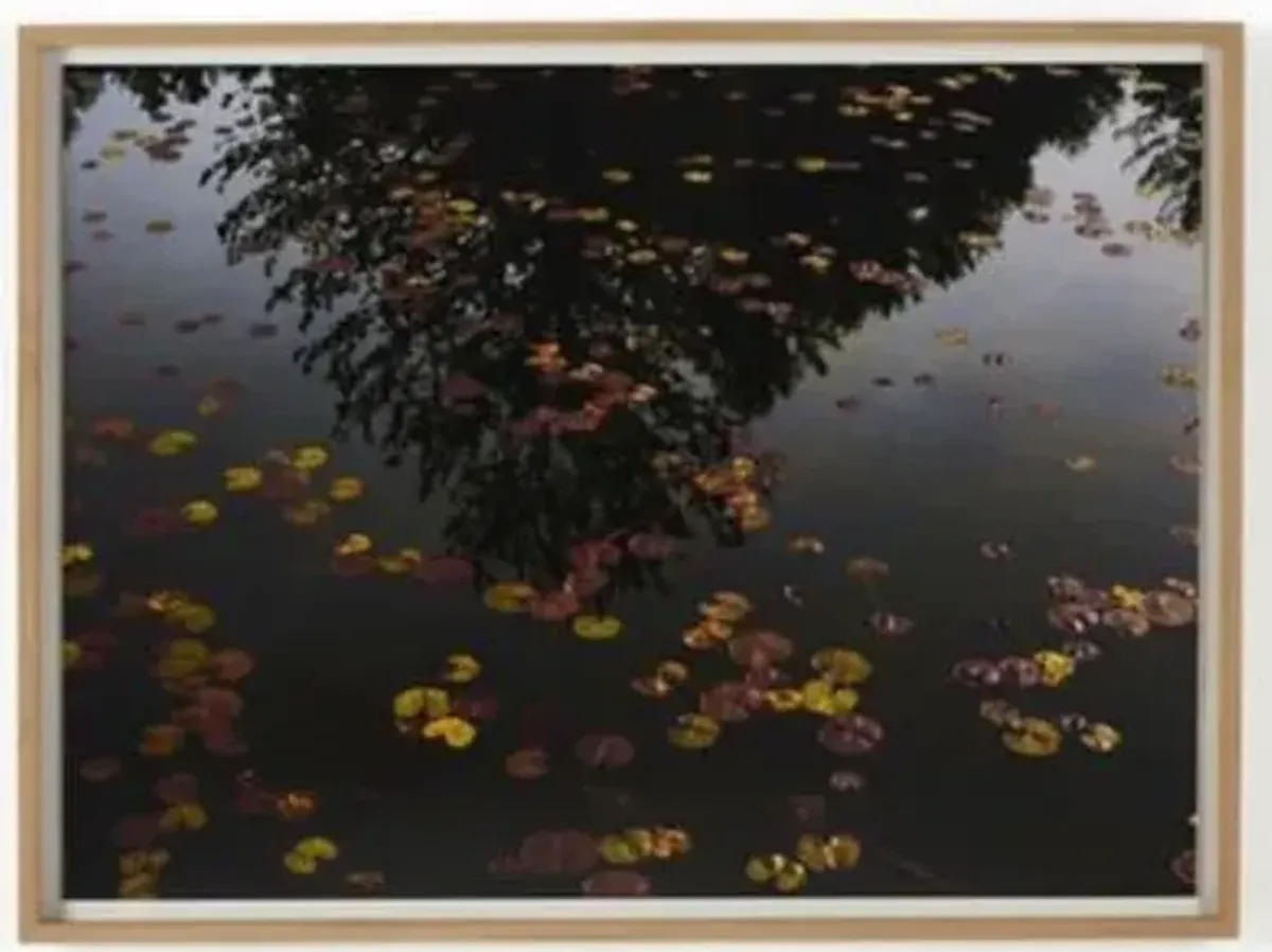 Amber Lewis x Four Hands Echo Wall Art