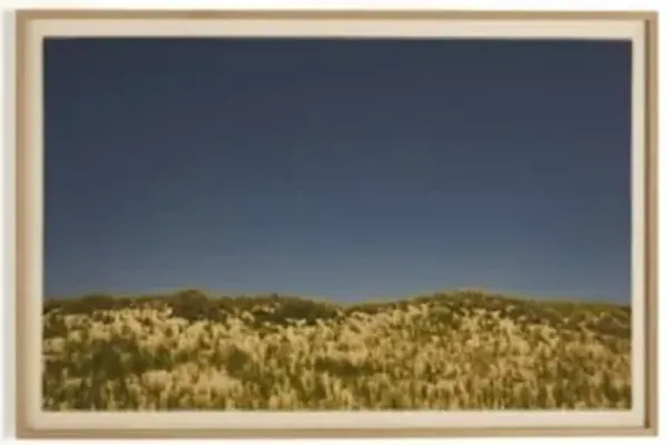 Amber Lewis x Four Hands Before The Coastline Wall Art