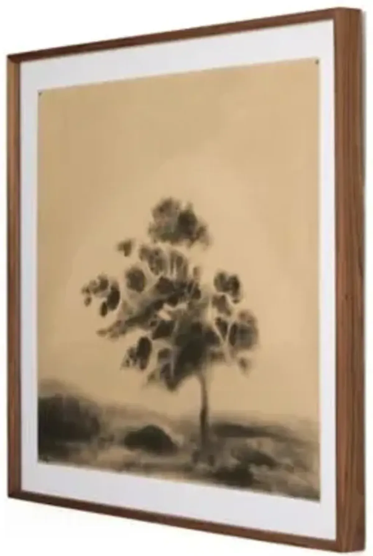 Amber Lewis x Four Hands Serenity Wall Art