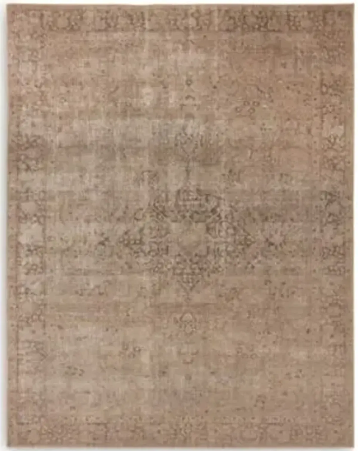 Morelli Area Rug