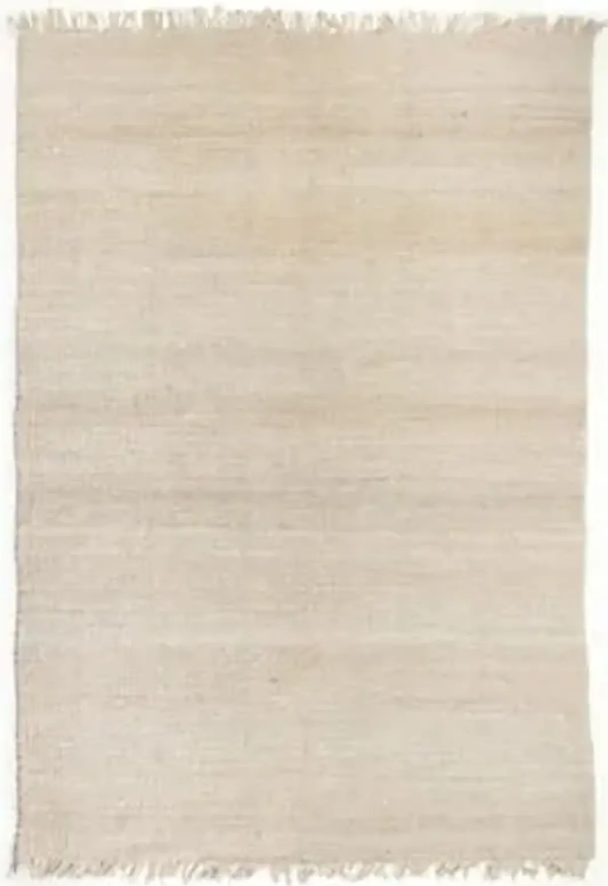 Neva Area Rug