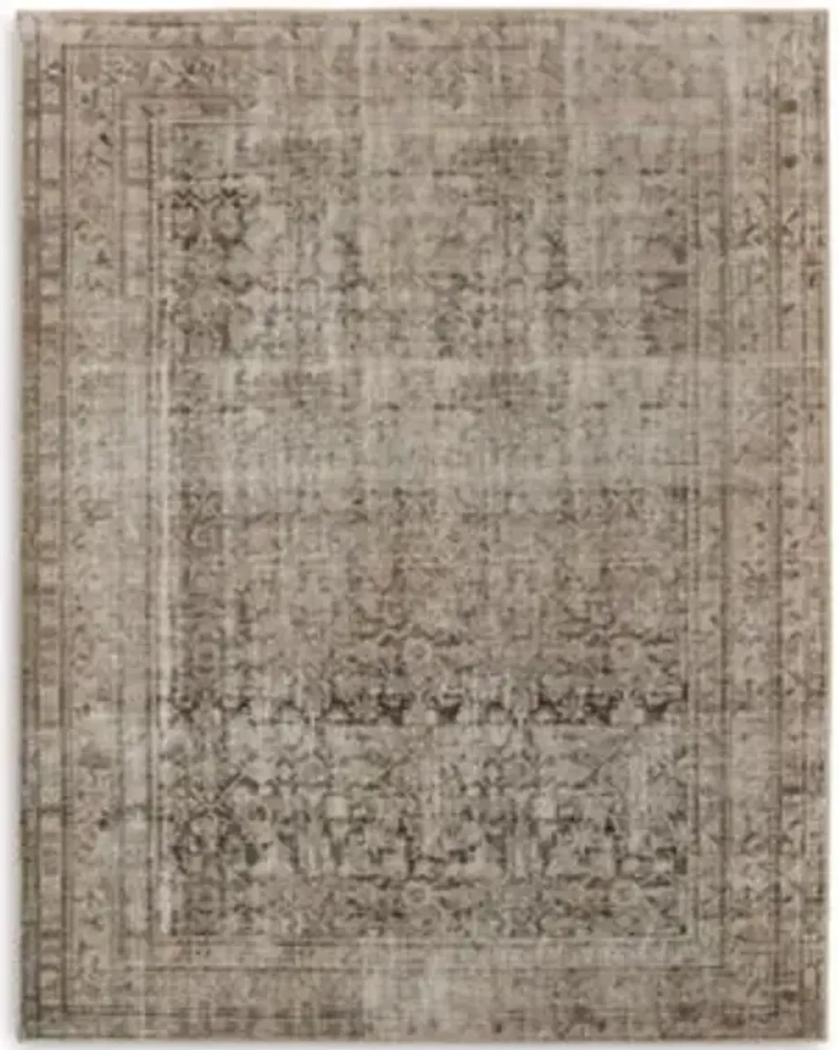 Nala Area Rug