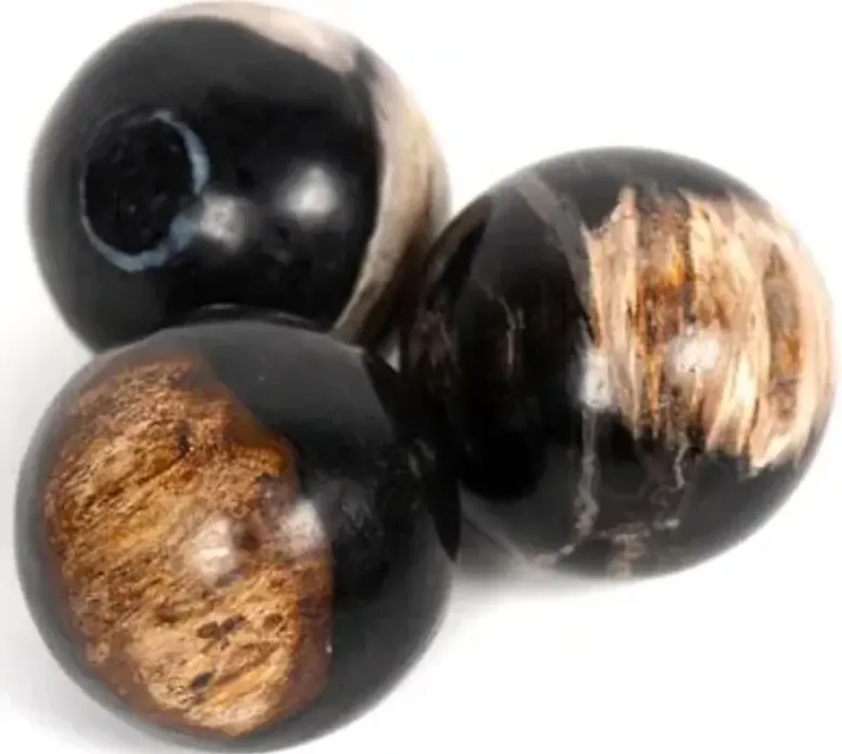 Petrified Wood Balls, Set Of 3