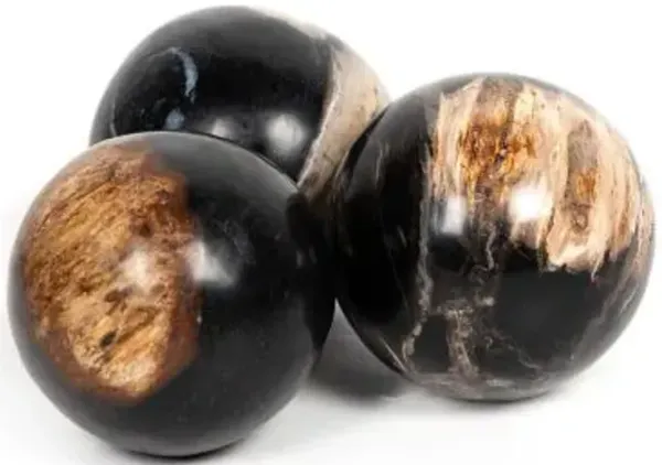 Petrified Wood Balls, Set Of 3