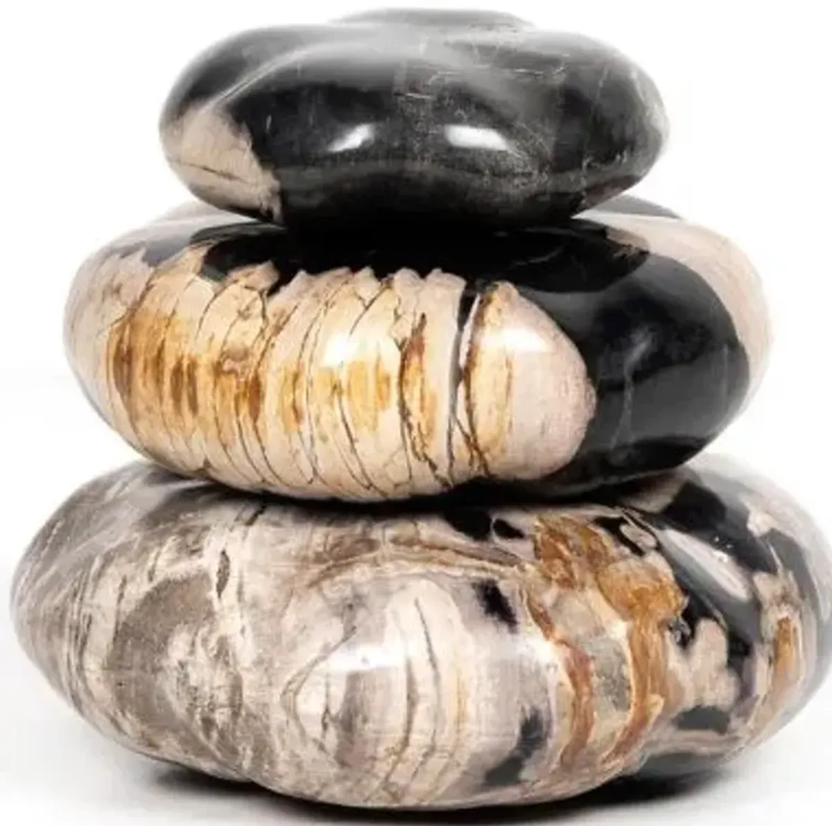 Petrified Wood Organic Sculpture, Set of 3