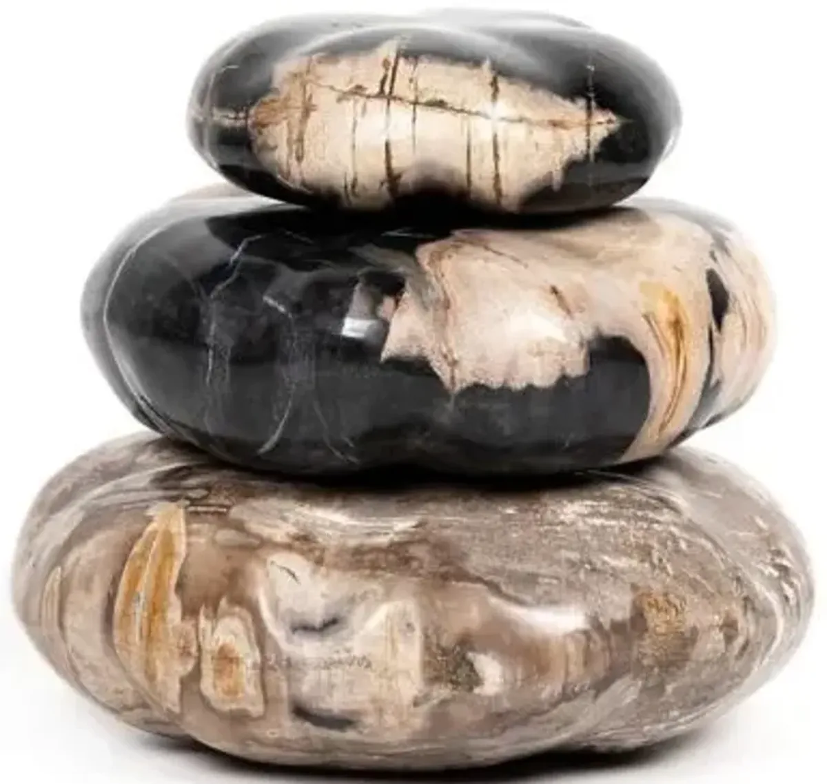 Petrified Wood Organic Sculpture, Set of 3