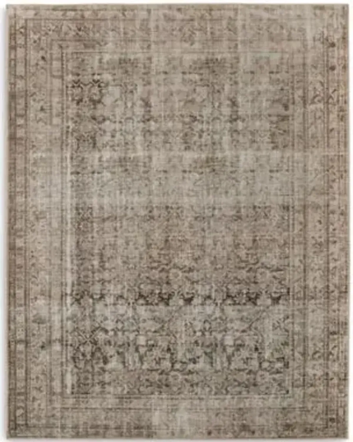 Nala Area Rug