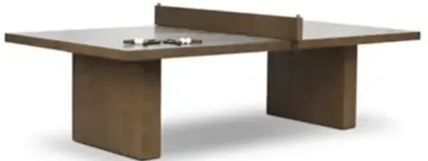Bato Ping Pong Table