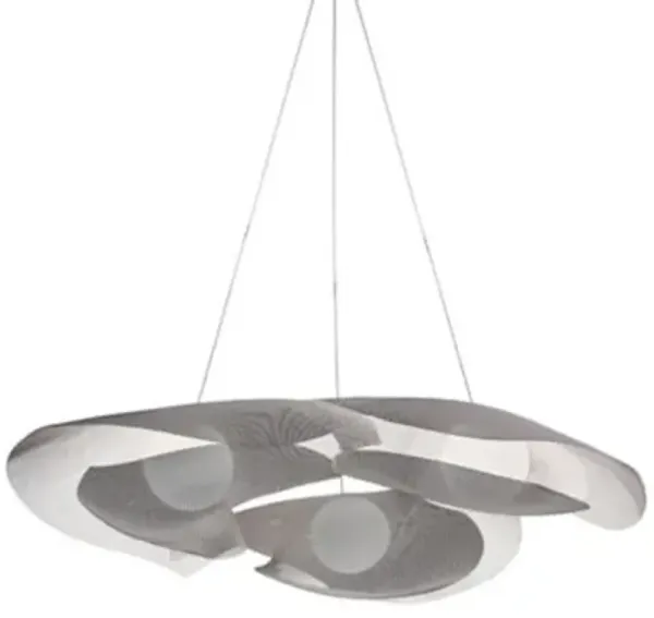 Mytilus Composition LED Pendant