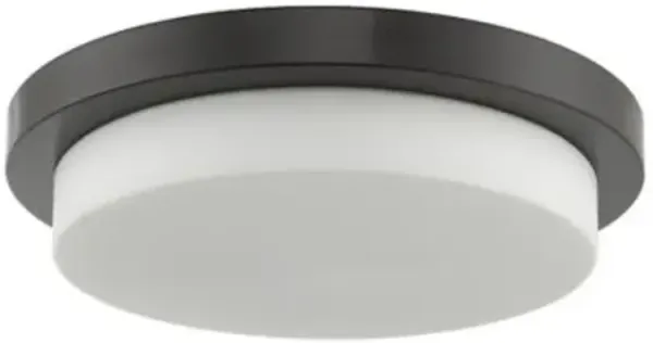 Edoardo LED Flush Mount Ceiling Light