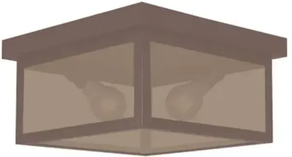 Vintage Outdoor Flushmount