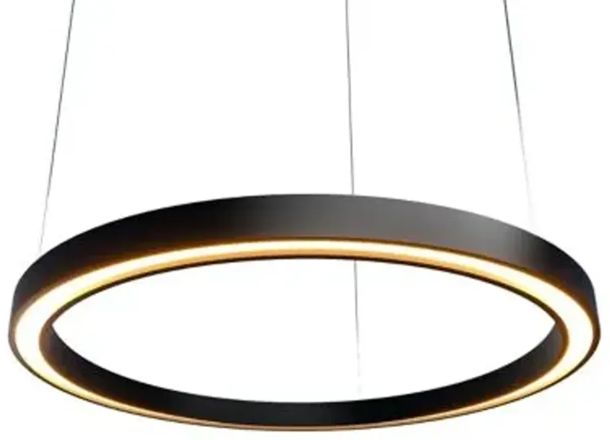 Frame Accord LED Pendant
