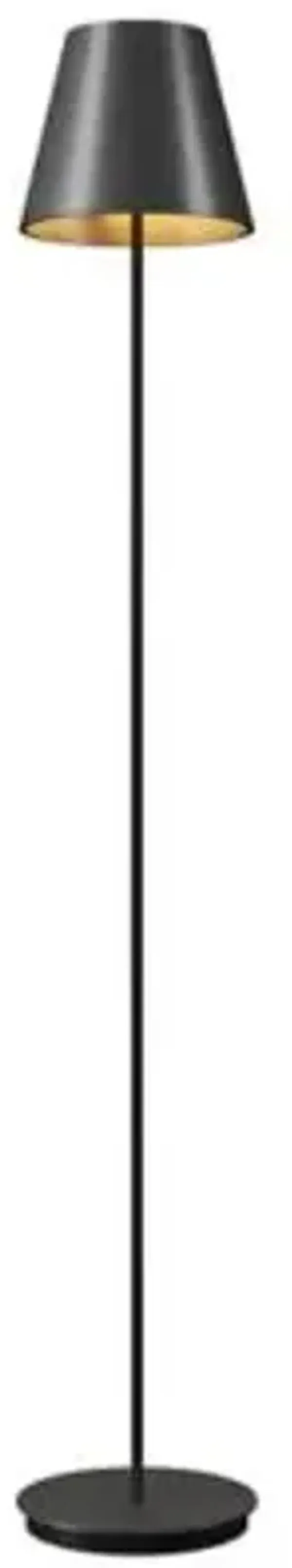 Conical 3053 Floor Lamp