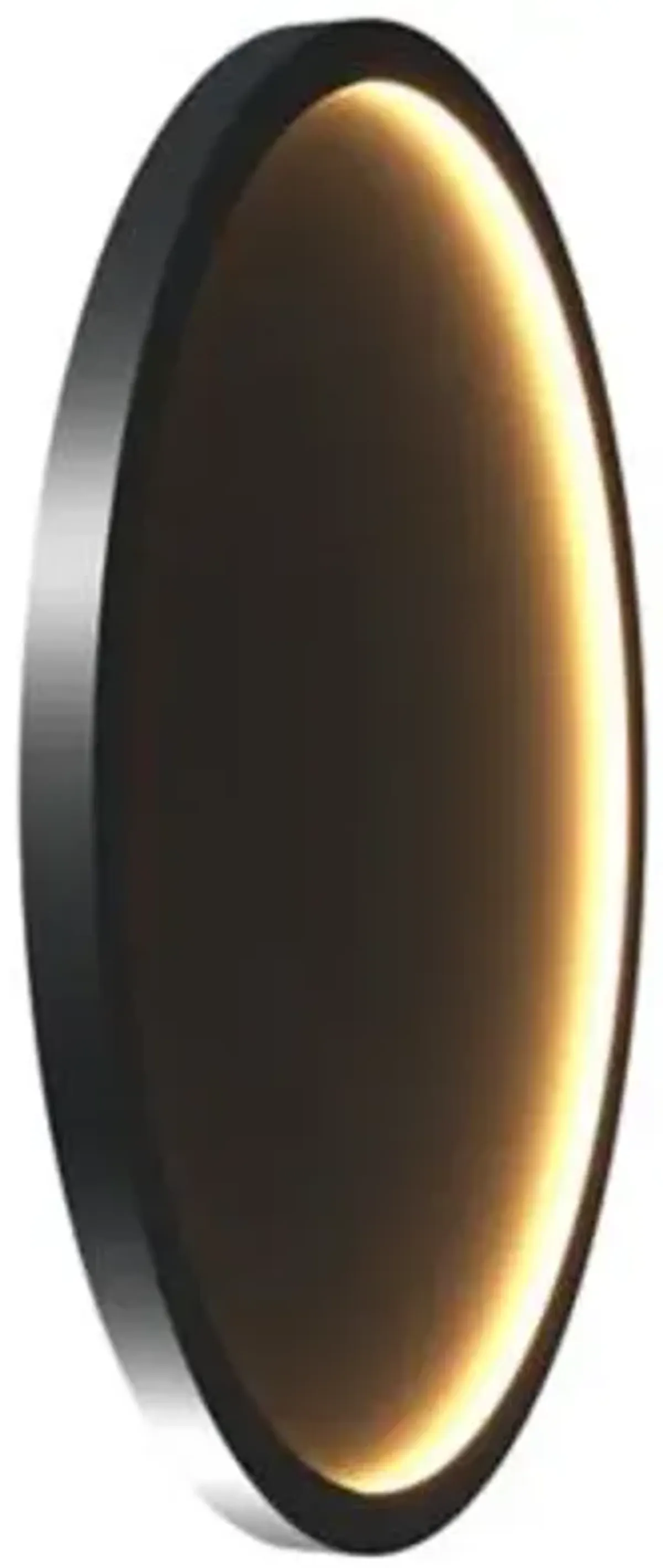 Naia LED Edge-Lit Wall / Ceiling Light