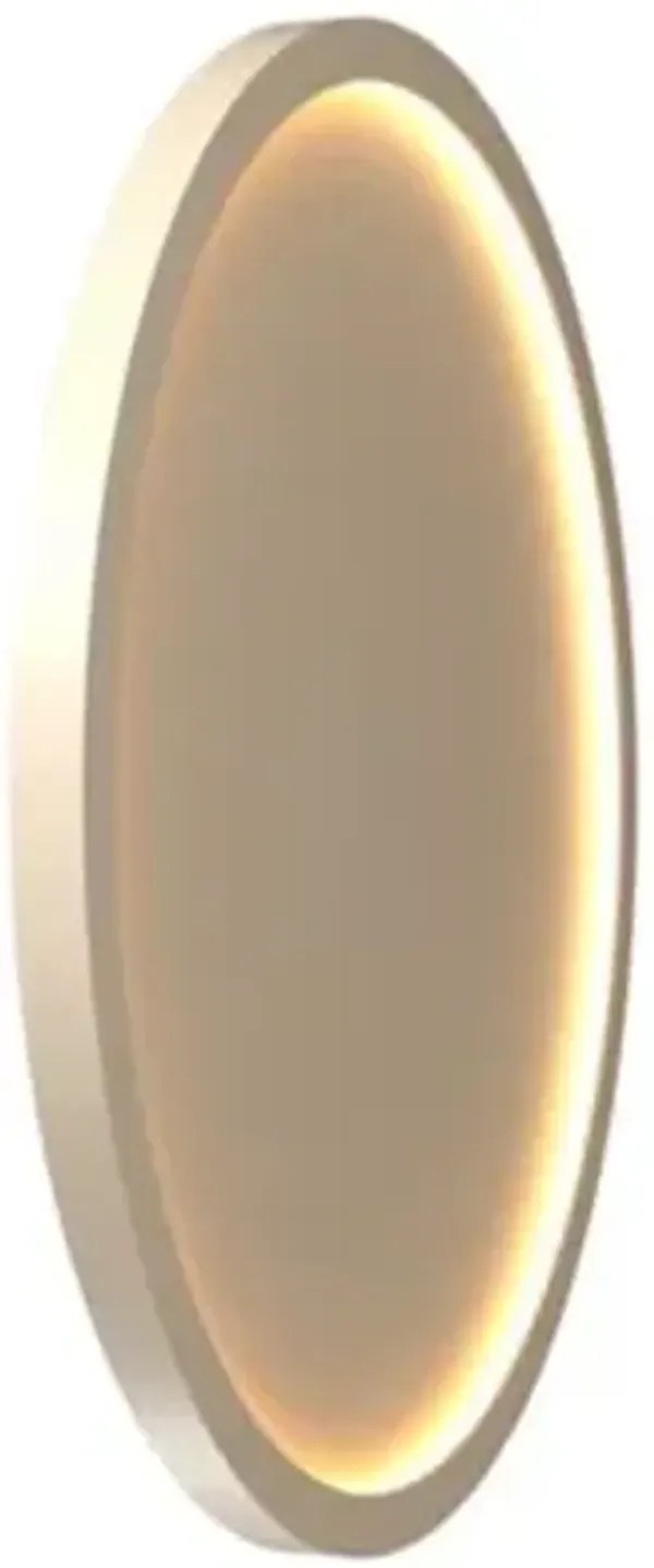 Naia LED Edge-Lit Wall / Ceiling Light