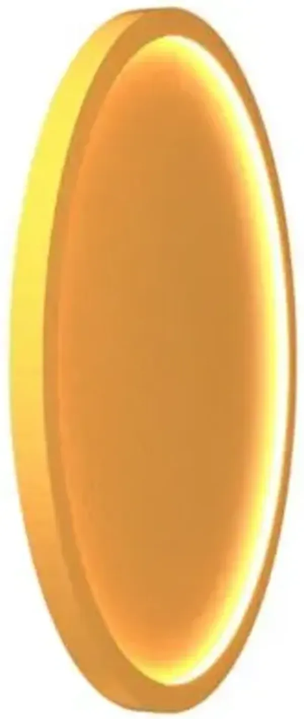 Naia LED Edge-Lit Wall / Ceiling Light