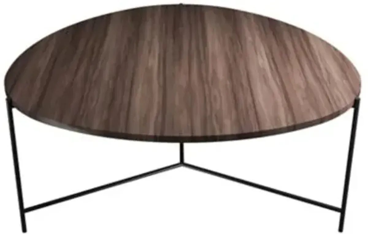 Clean F1039 Coffee Table