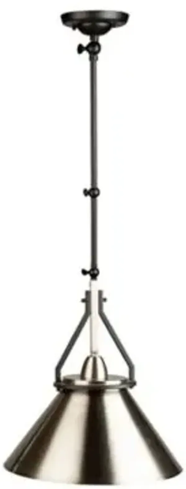 Brydon Pendant / Wall Sconce