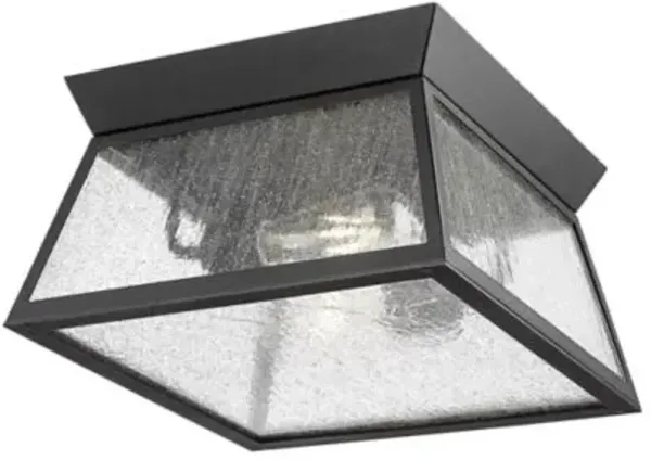 Lucian Outdoor 2 Light Flushmount