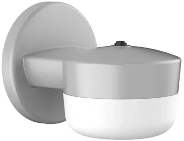 Benton LED Outdoor Wall Sconce