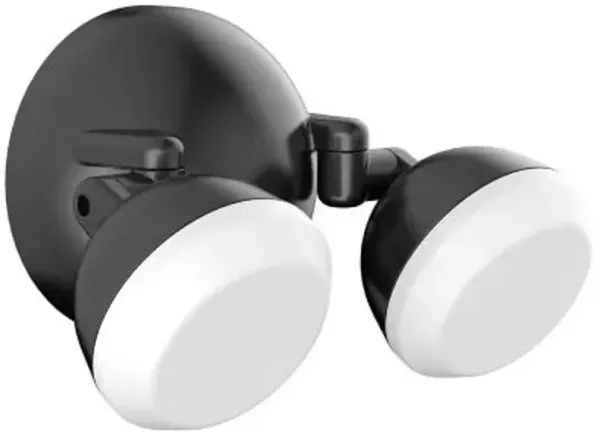 Daniel LED Outdoor Wall Sconce