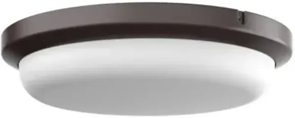 Dean LED Outdoor Flushmount