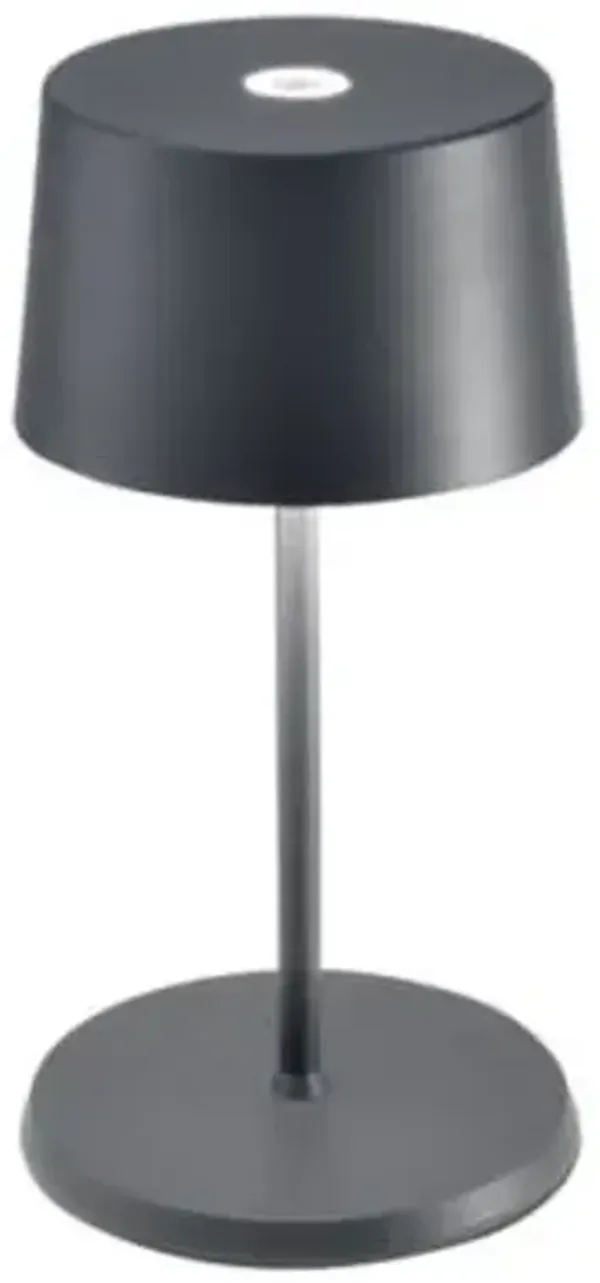 Olivia LED Mini Table Lamp