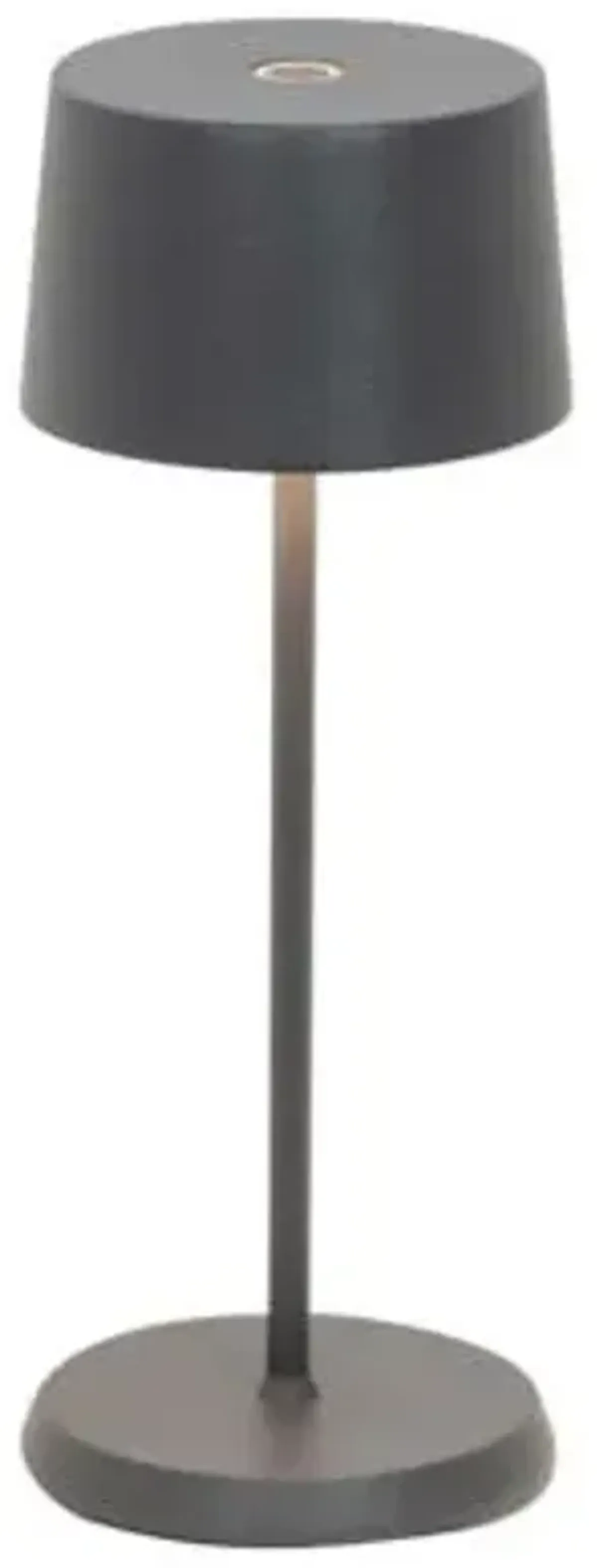 Olivia Pro Micro Indoor/Outdoor Rechargeable LED Table Lamp