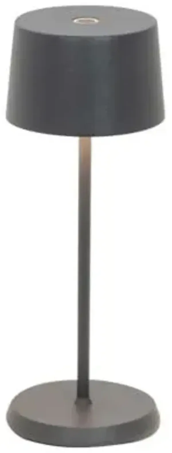 Olivia Pro Micro Indoor/Outdoor Rechargeable LED Table Lamp