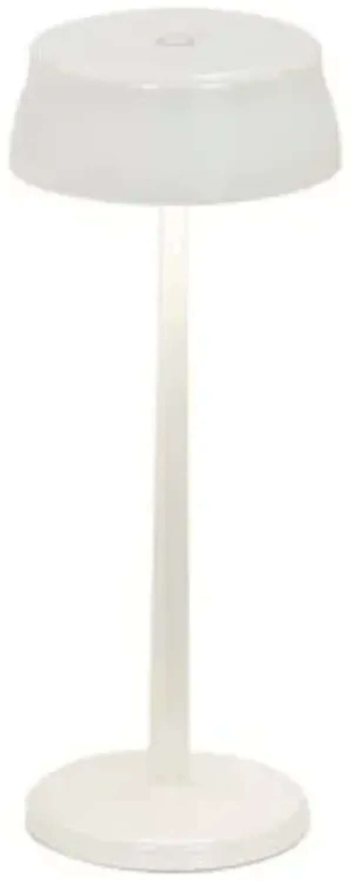 Sister Light Indoor/Outdoor Wi-Fi Table Lamp