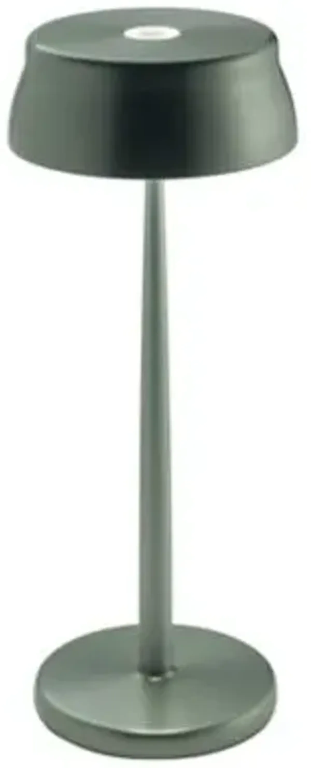 Sister Light Indoor/Outdoor Wi-Fi Table Lamp