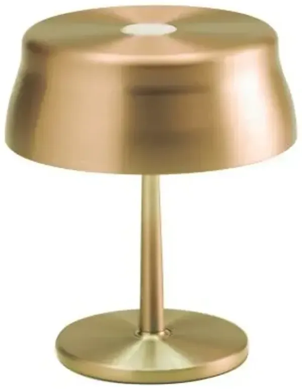 Sister Light Indoor/Outdoor Wi-Fi Mini LED Table Lamp