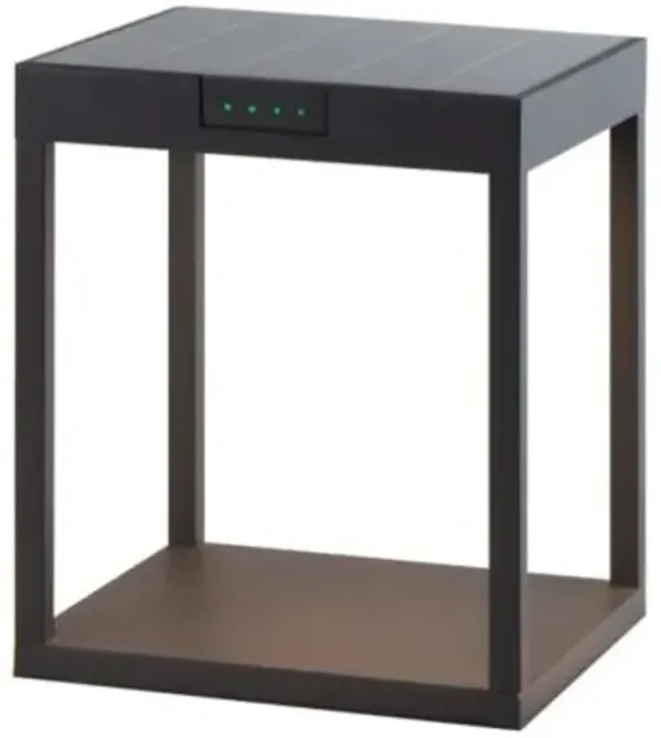 Radia Ground Outdoor LED Post Light