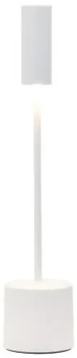 Pearl White with Pearl White color