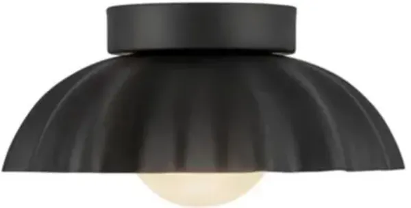 Soleil LED Wall/Ceiling Light