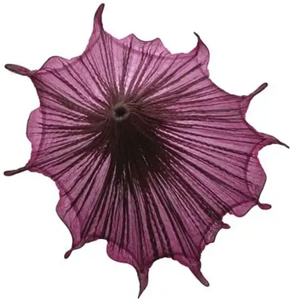 Medusa LED Wall Sconce