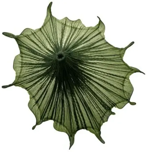 Medusa LED Wall Sconce