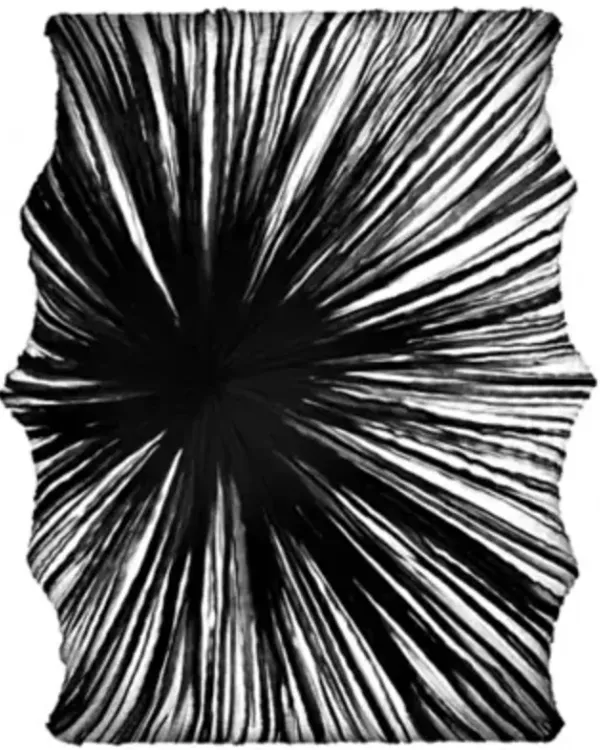 Zika LED Wall/Ceiling Light