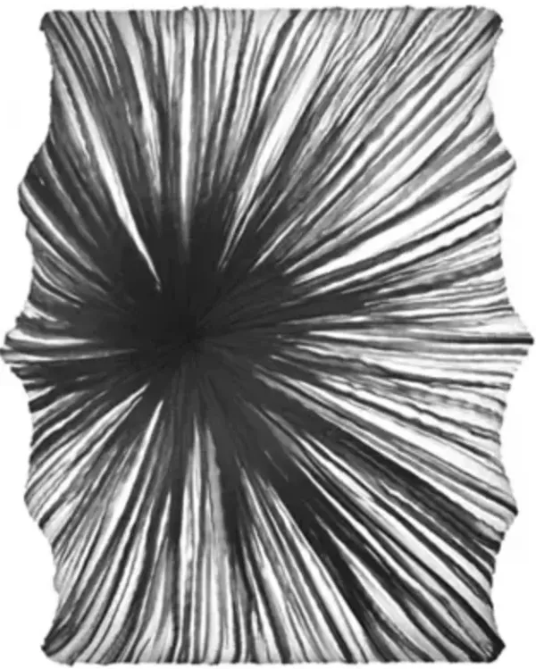 Zika LED Wall/Ceiling Light
