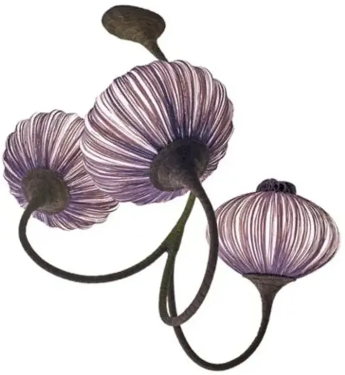 Three Palms LED Chandelier