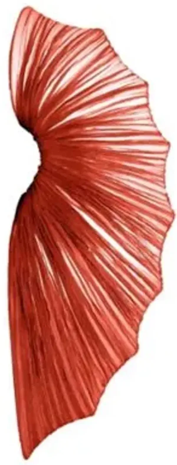 Contrare Wall Sconce