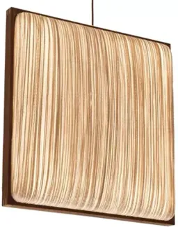 Shell / Mahogany color