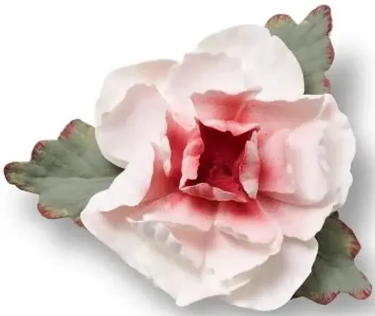 Peony Flower