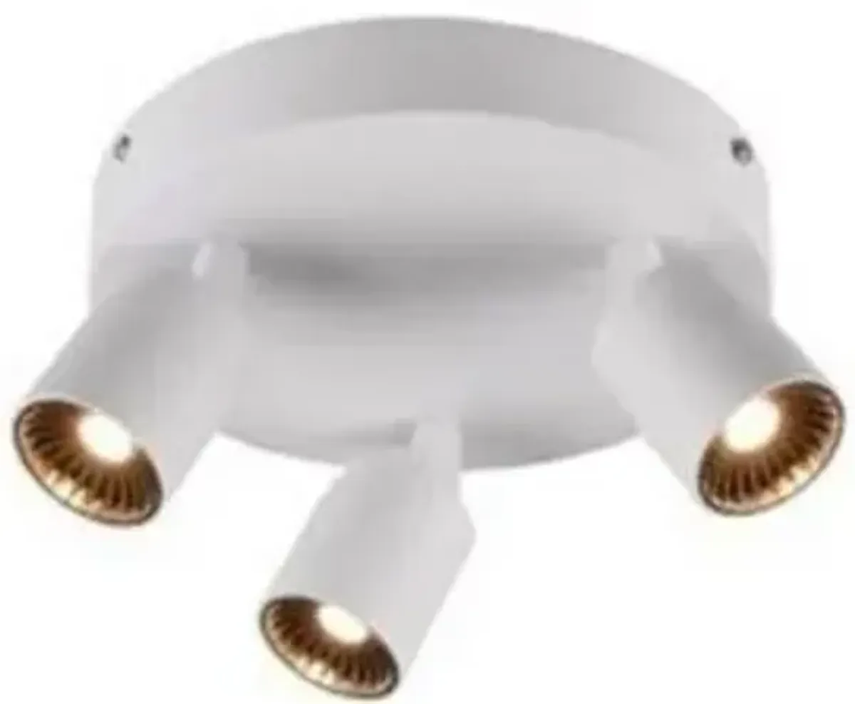 Cayman 3 Light LED Flushmount