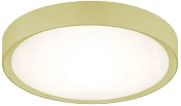 Clarimo LED Flushmount