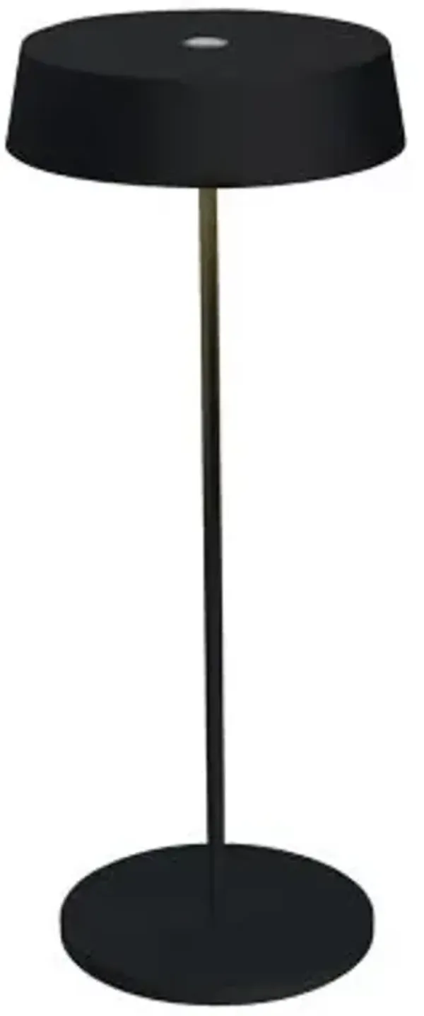 Alessandro Volta LED Portable Battery Table Lamp