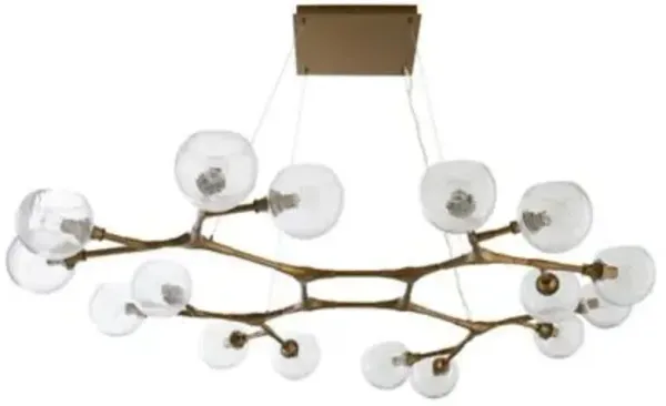 Mahowald Fixed Chandelier