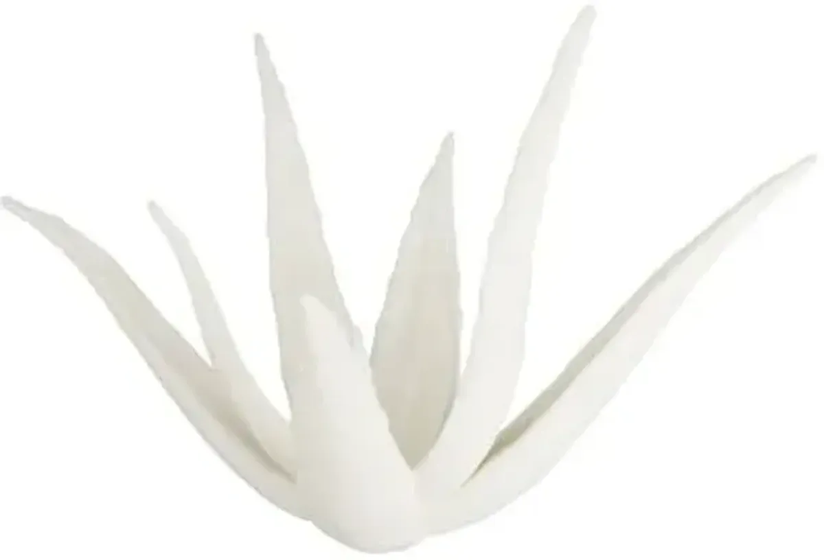 Zaloe Sculpture