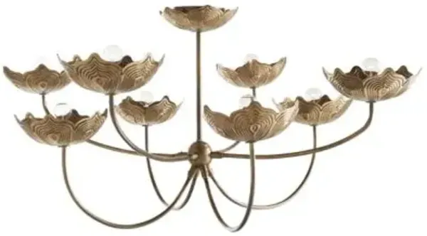 Encinitas Chandelier