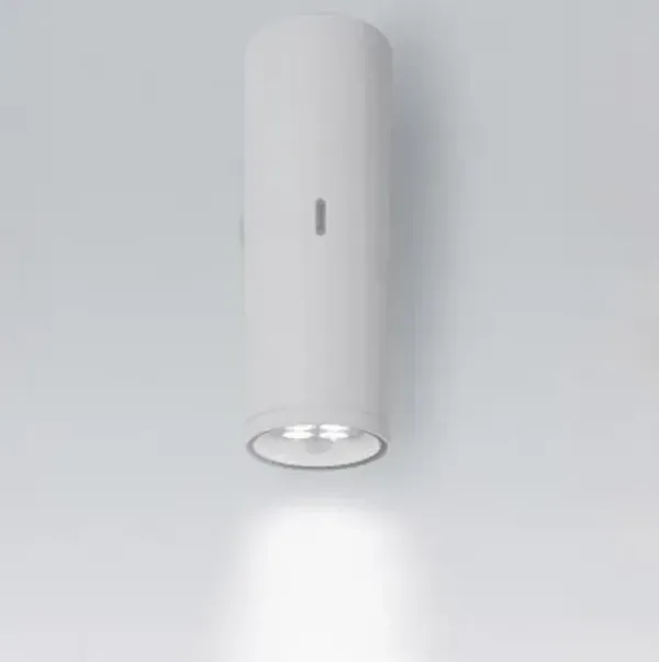 Calumet Outdoor LED Wall Light